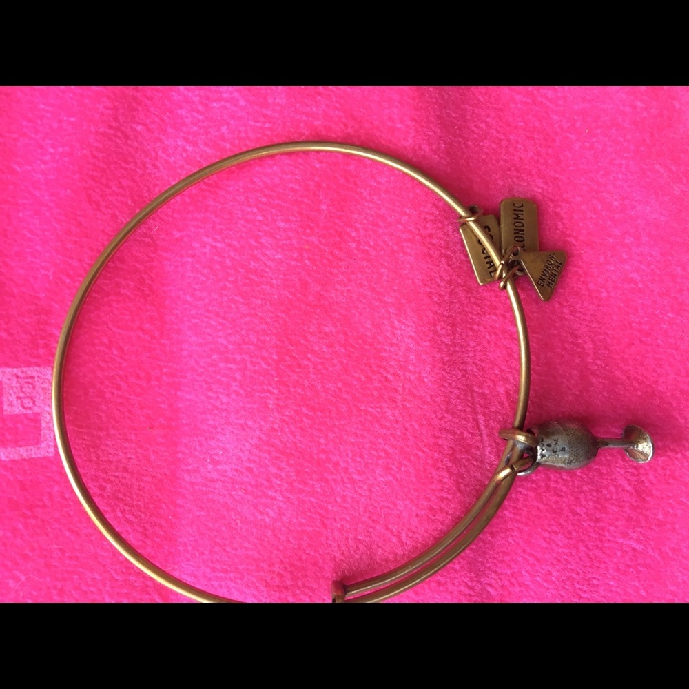 Alex and ani bracelet